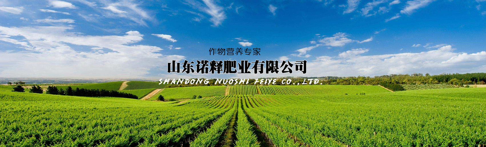 山东诺释肥业有限公司banner